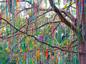 009 - GS -Mardi Gras Beads in Tree